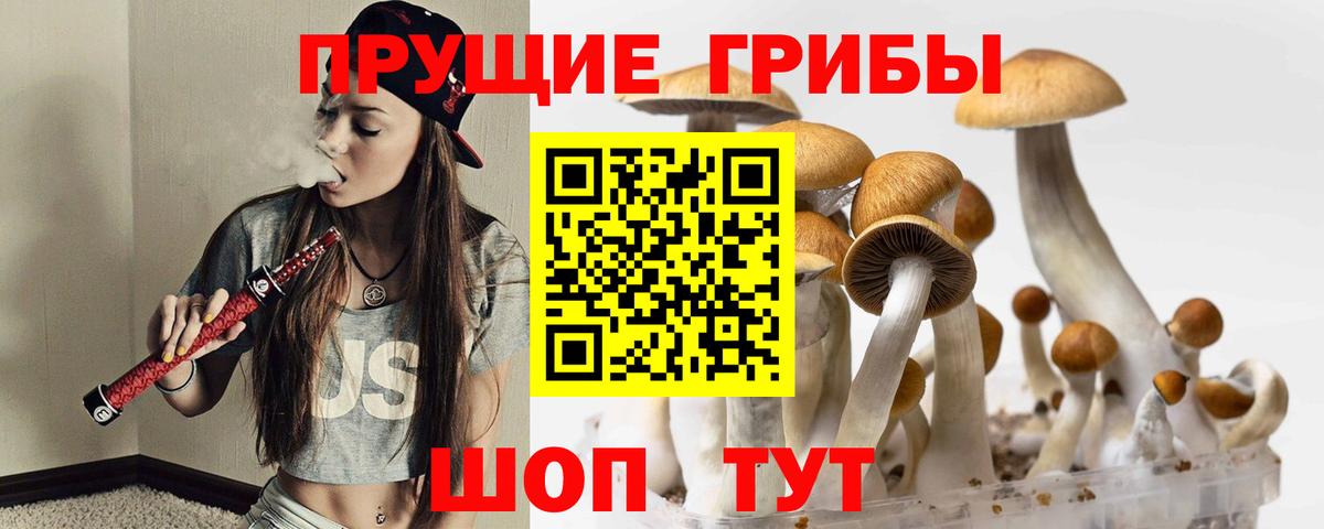 Псилоцибиновые грибы прущие грибы Мичуринск