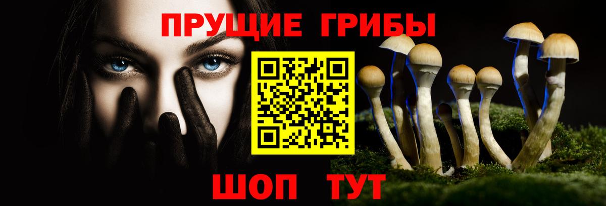 Мичуринск  Галлюциногенные грибы Magic Shrooms  Вход с VPN  даркнет сайт  Псилоцибиновые грибы Psilocybine cubensis 